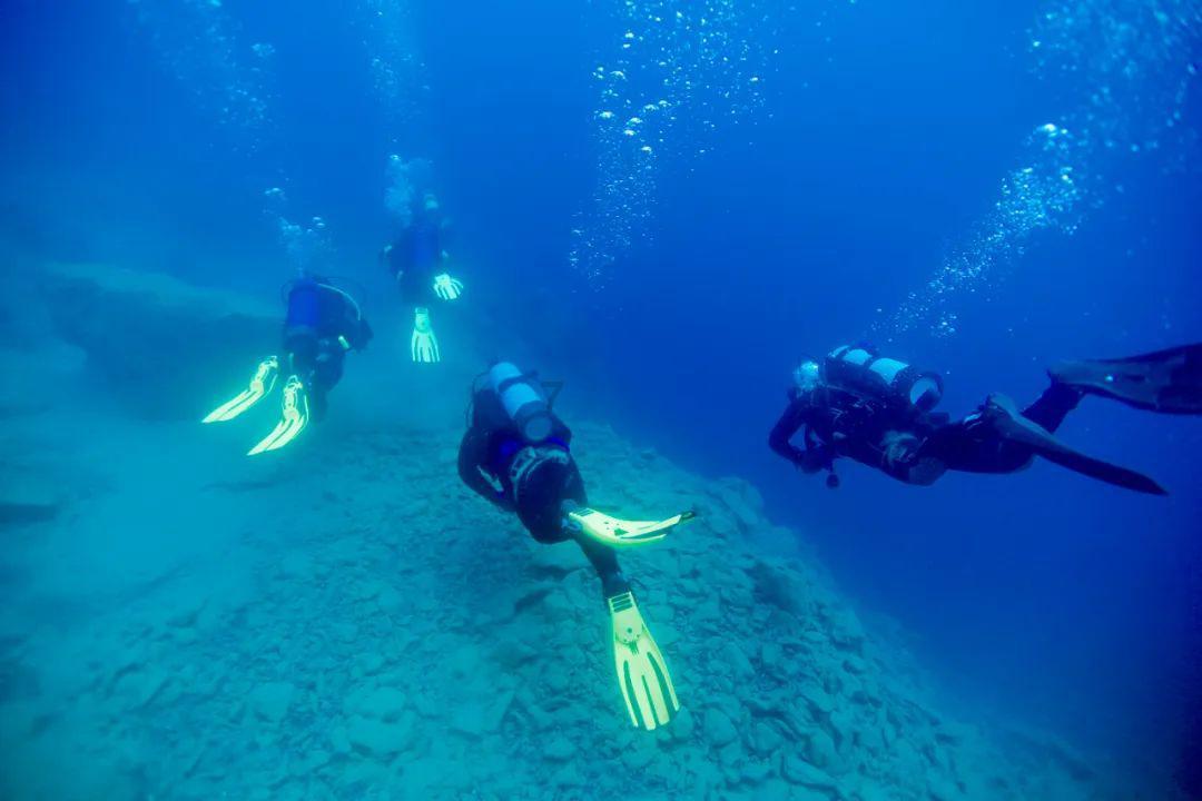 专注领域交流,尽在